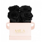  Mila-Roses-00001 Mila Classic Mini Pink - Black Velvet