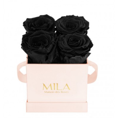 Produit Mila-Roses-00001 Mila Classic Mini Pink - Black Velvet