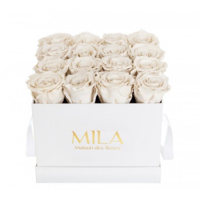 Produit Mila-Roses-00002 Mila Classic Medium White - White Cream