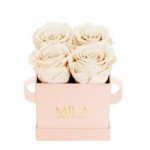  Mila-Roses-00003 Mila Classic Mini Pink - White Cream