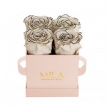  Mila-Roses-00004 Mila Classic Mini Pink - Haute Couture