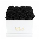  Mila-Roses-00005 Mila Classic Medium White - Black Velvet