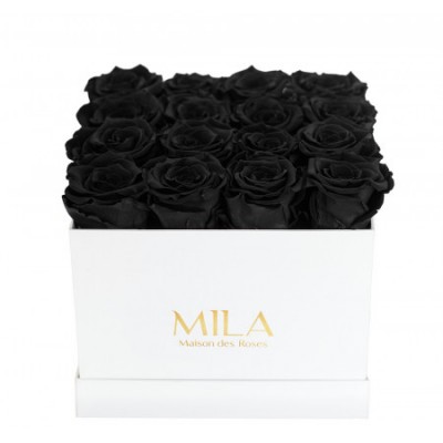 Produit Mila-Roses-00005 Mila Classic Medium White - Black Velvet