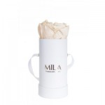  Mila-Roses-00008 Mila Classic Baby White - White Cream
