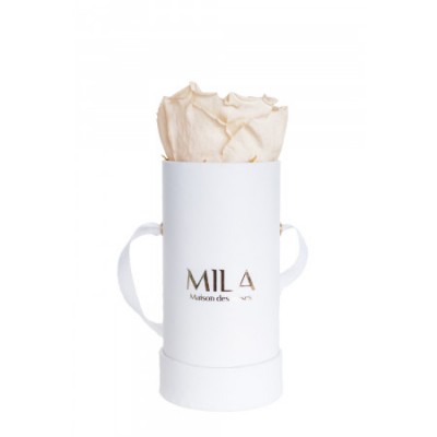 Produit Mila-Roses-00008 Mila Classic Baby White - White Cream