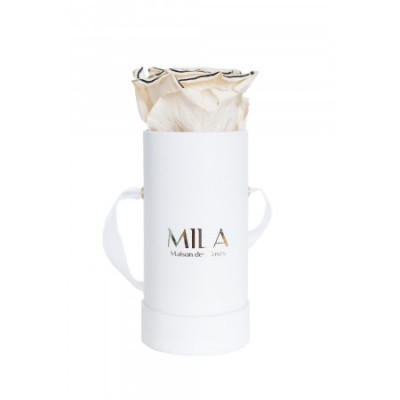 Produit Mila-Roses-00009 Mila Classic Baby White - Haute Couture