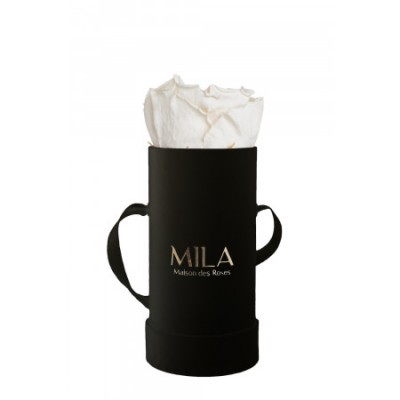Produit Mila-Roses-00011 Mila Classic Baby Black - White Cream