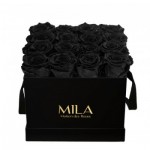  Mila-Roses-00013 Mila Classic Medium Black - Black Velvet