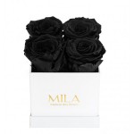  Mila-Roses-00019 Mila Classic Mini White - Black Velvet