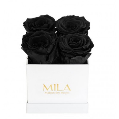 Produit Mila-Roses-00019 Mila Classic Mini White - Black Velvet