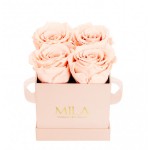  Mila-Roses-00023 Mila Classic Mini Pink - Pure Peach