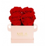  Mila-Roses-00024 Mila Classic Mini Pink - Rouge Amour