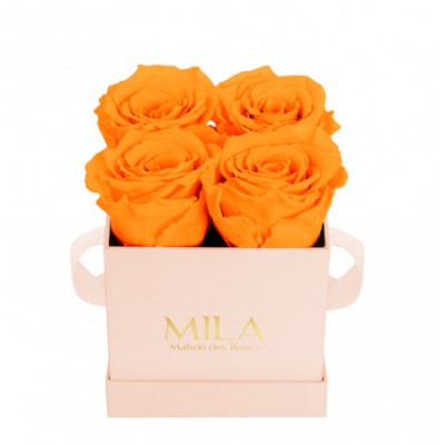 Produit Mila-Roses-00026 Mila Classic Mini Pink - Orange Bloom
