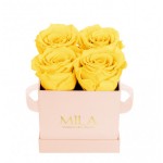  Mila-Roses-00031 Mila Classic Mini Pink - Yellow Sunshine