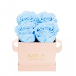  Mila-Roses-00032 Mila Classic Mini Pink - Baby blue