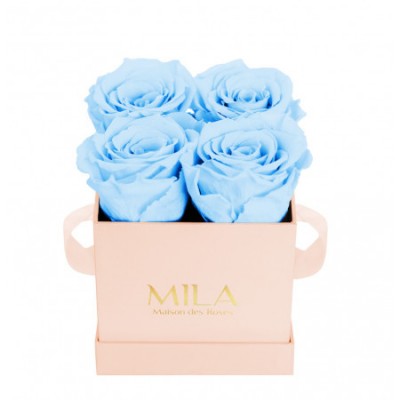 Produit Mila-Roses-00032 Mila Classic Mini Pink - Baby blue