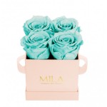  Mila-Roses-00033 Mila Classic Mini Pink - Aquamarine