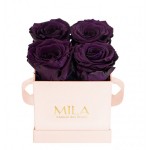 Mila-Roses-00038 Mila Classic Mini Pink - Velvet purple