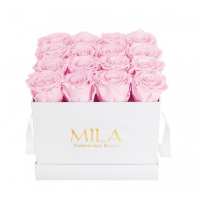 Produit Mila-Roses-00043 Mila Classic Medium White - Pink Blush