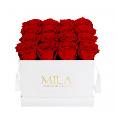 Produit Mila-Roses-00045 Mila Classic Medium White - Rouge Amour