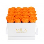  Mila-Roses-00047 Mila Classic Medium White - Orange Bloom
