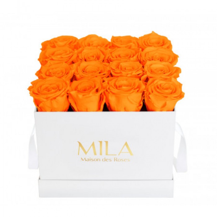 Mila Classic Medium White - Orange Bloom