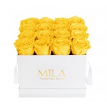  Mila-Roses-00052 Mila Classic Medium White - Yellow Sunshine