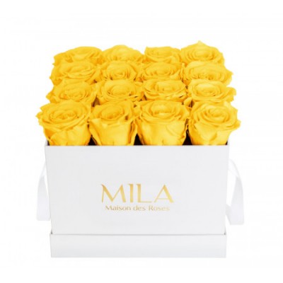 Produit Mila-Roses-00052 Mila Classic Medium White - Yellow Sunshine