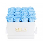  Mila-Roses-00053 Mila Classic Medium White - Baby blue