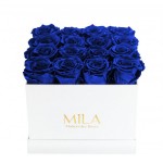  Mila-Roses-00055 Mila Classic Medium White - Royal blue