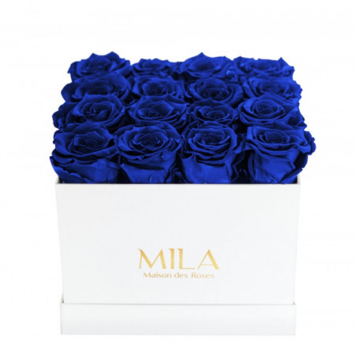 Mila Classic Medium White - Royal blue