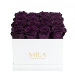  Mila-Roses-00059 Mila Classic Medium White - Velvet purple