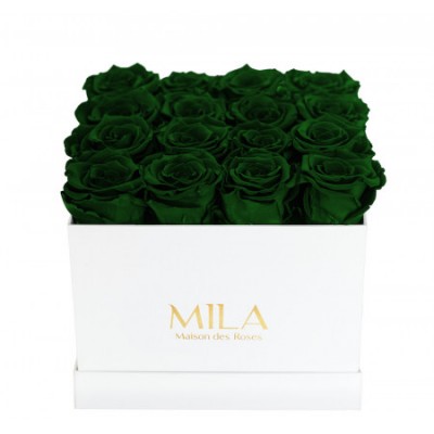 Produit Mila-Roses-00061 Mila Classic Medium White - Emeraude
