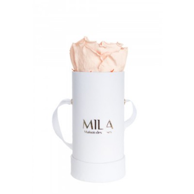 Produit Mila-Roses-00065 Mila Classic Baby White - Pure Peach