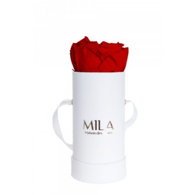 Produit Mila-Roses-00066 Mila Classic Baby White - Rouge Amour