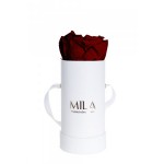  Mila-Roses-00067 Mila Classic Baby White - Rubis Rouge