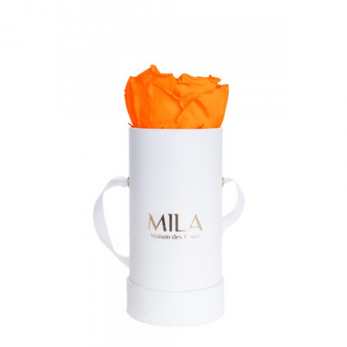 Mila Classic Baby White - Orange Bloom