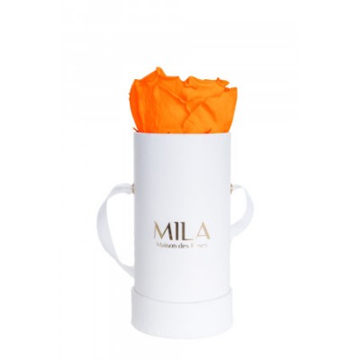 Produit Mila-Roses-00068 Mila Classic Baby White - Orange Bloom