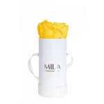  Mila-Roses-00073 Mila Classic Baby White - Yellow Sunshine