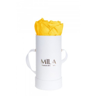 Produit Mila-Roses-00073 Mila Classic Baby White - Yellow Sunshine