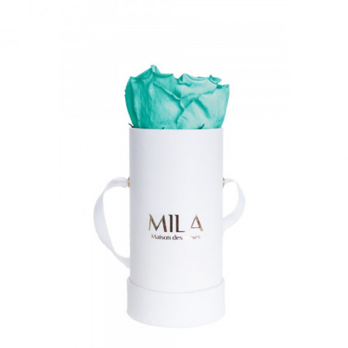 Mila Classic Baby White - Aquamarine