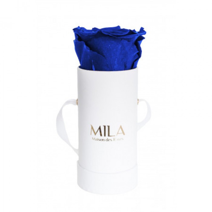 Mila Classic Baby White - Royal blue