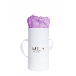  Mila-Roses-00077 Mila Classic Baby White - Lavender