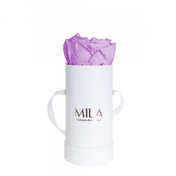 Mila Classic Baby White - Lavender
