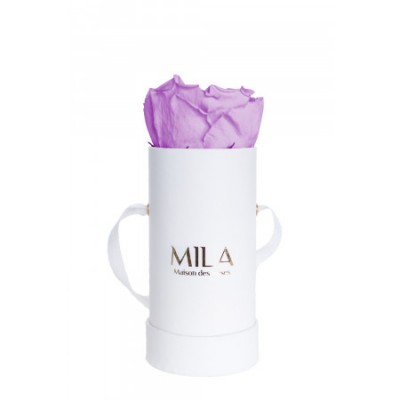 Produit Mila-Roses-00077 Mila Classic Baby White - Lavender