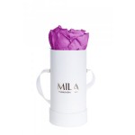  Mila-Roses-00078 Mila Classic Baby White - Mauve