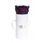 Mila-Roses-00080 Mila Classic Baby White - Velvet purple