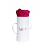  Mila-Roses-00081 Mila Classic Baby White - Fuchsia