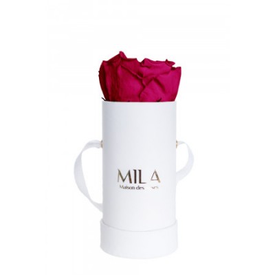 Produit Mila-Roses-00081 Mila Classic Baby White - Fuchsia