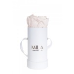  Mila-Roses-00083 Mila Classic Baby White - Pink bottom